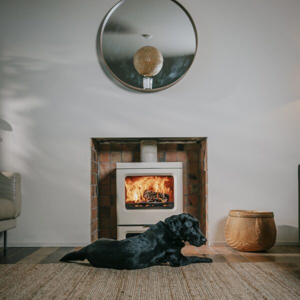 Charnwood Skye E700 Low Stand - Dog in front of the fireplace lifestyle image