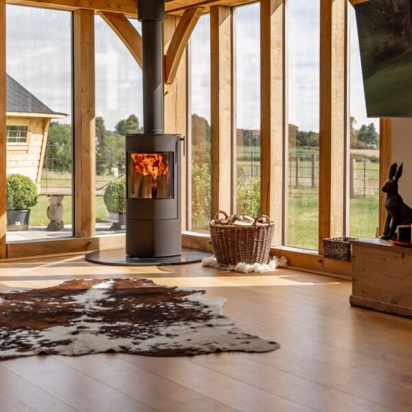 RAIS Viva L 100 Wood-Burning Stove - Lifestyle Image in Black with Glass Windows Backdrop