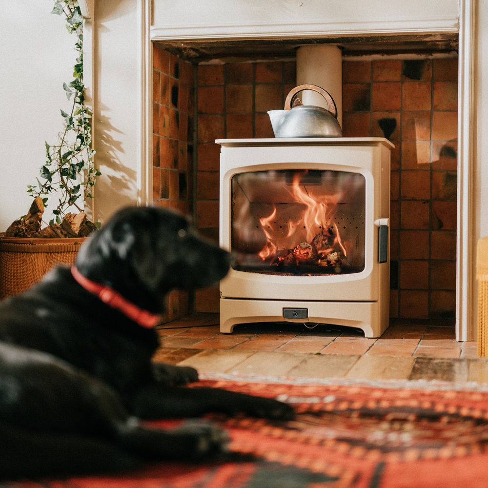 Charnwood Aire 700 Intelligent Stove with Dog